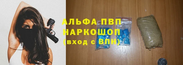 молекула духа Балахна