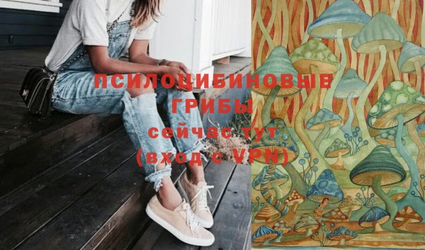 молекула духа Балахна