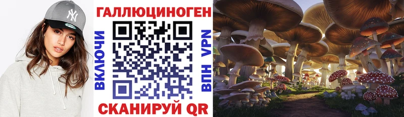 Галлюциногенные грибы Psilocybine cubensis  мега зеркало  Пересвет 